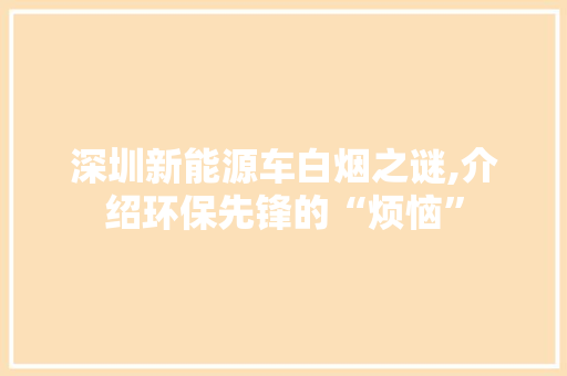 深圳新能源车白烟之谜,介绍环保先锋的“烦恼”