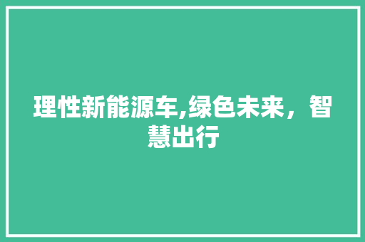 理性新能源车,绿色未来，智慧出行