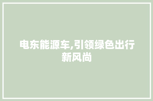 电东能源车,引领绿色出行新风尚 汽车百科