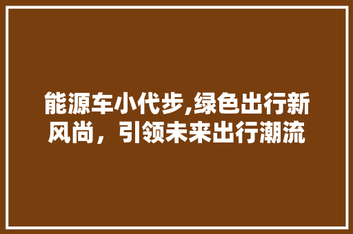 能源车小代步,绿色出行新风尚，引领未来出行潮流