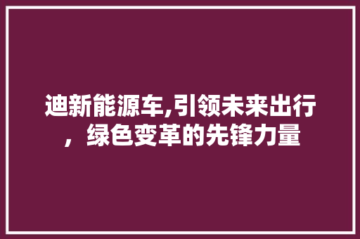迪新能源车,引领未来出行，绿色变革的先锋力量