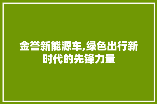 金誉新能源车,绿色出行新时代的先锋力量