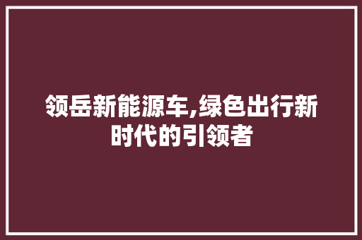 领岳新能源车,绿色出行新时代的引领者