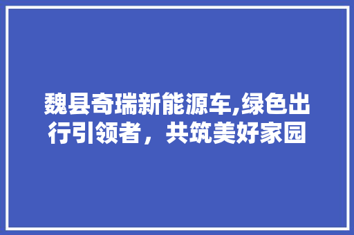 魏县奇瑞新能源车,绿色出行引领者，共筑美好家园