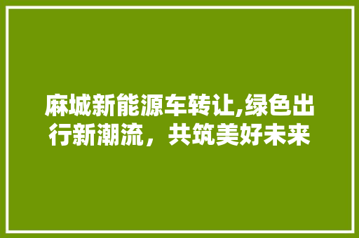 麻城新能源车转让,绿色出行新潮流，共筑美好未来 购车指南