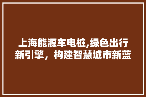 上海能源车电桩,绿色出行新引擎，构建智慧城市新蓝图