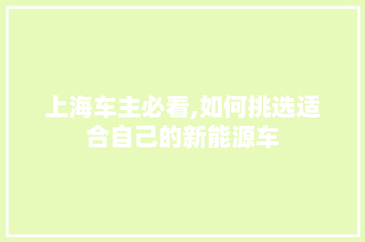 上海车主必看,如何挑选适合自己的新能源车