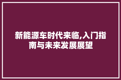 新能源车时代来临,入门指南与未来发展展望
