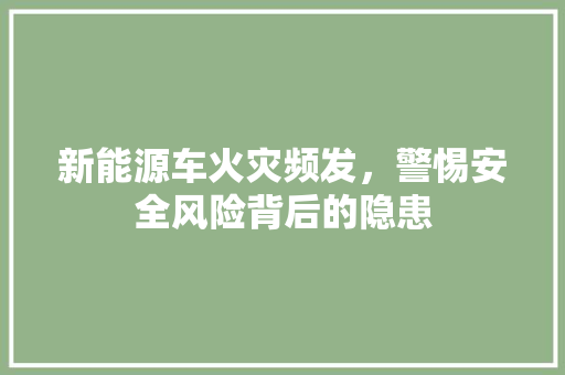 新能源车火灾频发，警惕安全风险背后的隐患