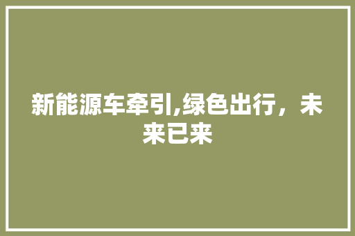 新能源车牵引,绿色出行，未来已来