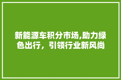 新能源车积分市场,助力绿色出行，引领行业新风尚 热门车