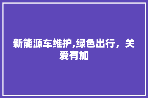 新能源车维护,绿色出行，关爱有加