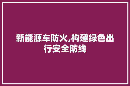 新能源车防火,构建绿色出行安全防线