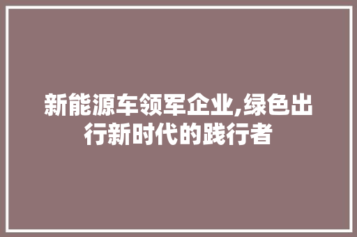 新能源车领军企业,绿色出行新时代的践行者