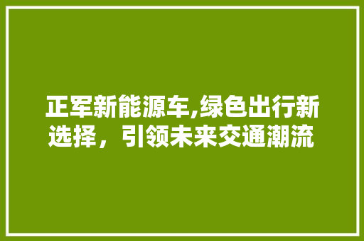 正军新能源车,绿色出行新选择，引领未来交通潮流