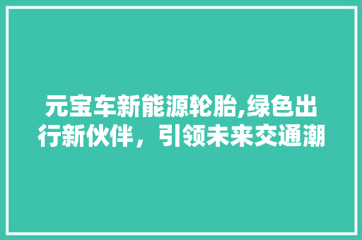 元宝车新能源轮胎,绿色出行新伙伴，引领未来交通潮流