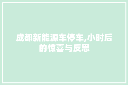 成都新能源车停车,小时后的惊喜与反思
