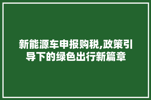 新能源车申报购税,政策引导下的绿色出行新篇章
