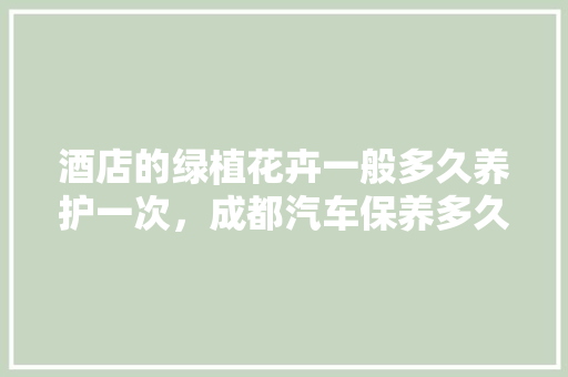 酒店的绿植花卉一般多久养护一次,成都汽车保养多久一次好呢。 新车 酒店的绿植花卉一般多久养护一次,成都汽车保养多久一次好呢。 第1张 酒店的绿植花卉一般多久养护一次,成都汽车保养多久一次好呢。 新车