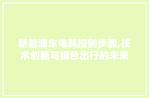 新能源车电耗控制步骤,技术创新与绿色出行的未来 小车配件