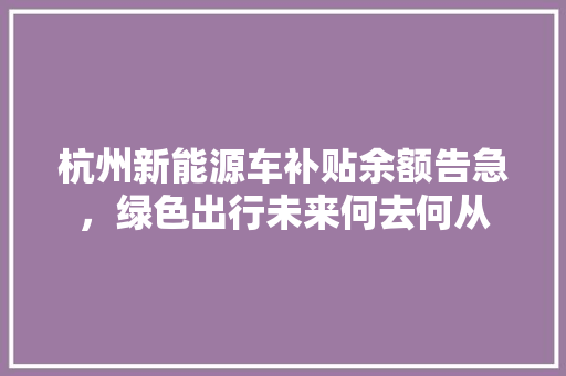 杭州新能源车补贴余额告急，绿色出行未来何去何从