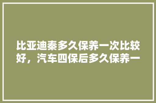 比亚迪秦多久保养一次比较好，汽车四保后多久保养一次比较好。  第1张 比亚迪秦多久保养一次比较好，汽车四保后多久保养一次比较好。 商用车