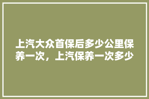 上汽大众首保后多少公里保养一次,上汽保养一次多少钱。 新能源 上汽大众首保后多少公里保养一次,上汽保养一次多少钱。 第1张 上汽大众首保后多少公里保养一次,上汽保养一次多少钱。 新能源