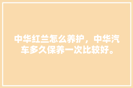 中华红兰怎么养护，中华汽车多久保养一次比较好。