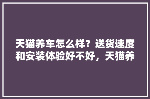 天猫养车怎么样？送货速度和安装体验好不好，天猫养车保养一次多少钱。