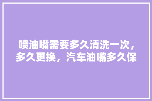 喷油嘴需要多久清洗一次，多久更换，汽车油嘴多久保养一次好呢。