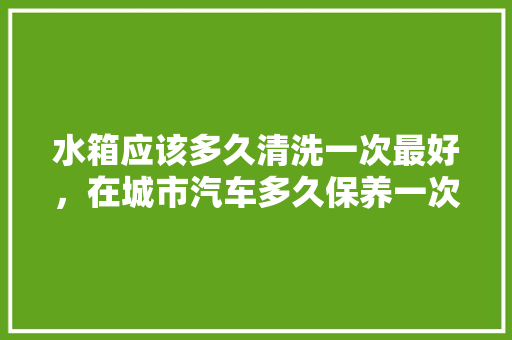 水箱应该多久清洗一次最好，在城市汽车多久保养一次比较好。  第1张 水箱应该多久清洗一次最好，在城市汽车多久保养一次比较好。 新能源配件