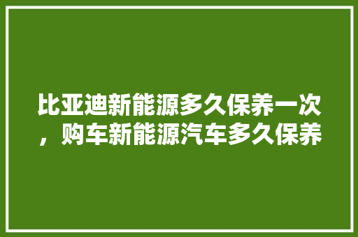 比亚迪新能源多久保养一次，购车新能源汽车多久保养一次好。  第1张 比亚迪新能源多久保养一次，购车新能源汽车多久保养一次好。 豪华车