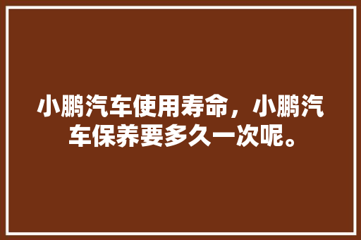 小鹏汽车使用寿命，小鹏汽车保养要多久一次呢。  第1张 小鹏汽车使用寿命，小鹏汽车保养要多久一次呢。 电瓶车