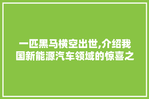 一匹黑马横空出世,介绍我国新能源汽车领域的惊喜之作