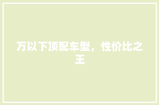 万以下顶配车型，性价比之王