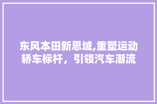 东风本田新思域,重塑运动轿车标杆，引领汽车潮流