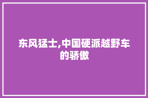 东风猛士,中国硬派越野车的骄傲