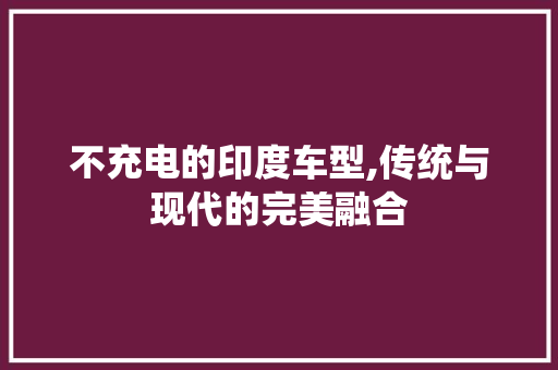 不充电的印度车型,传统与现代的完美融合