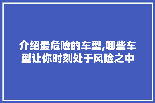 介绍最危险的车型,哪些车型让你时刻处于风险之中  第1张 介绍最危险的车型,哪些车型让你时刻处于风险之中 购车指南