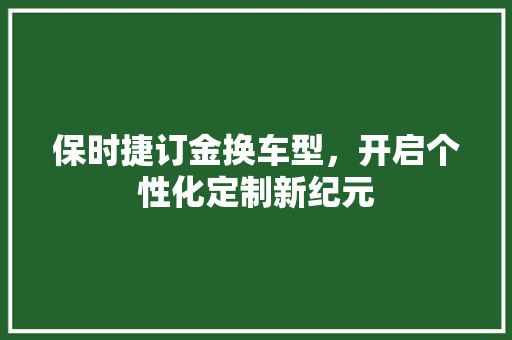 保时捷订金换车型，开启个性化定制新纪元