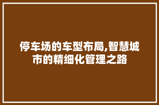 停车场的车型布局,智慧城市的精细化管理之路