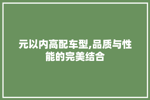 元以内高配车型,品质与性能的完美结合  第1张 元以内高配车型,品质与性能的完美结合 摩托车维修