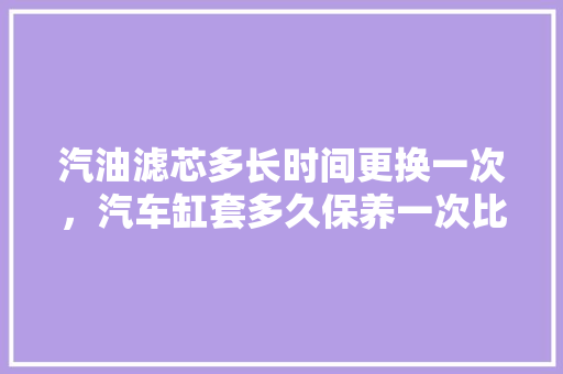 汽油滤芯多长时间更换一次，汽车缸套多久保养一次比较好。  第1张 汽油滤芯多长时间更换一次，汽车缸套多久保养一次比较好。 汽车百科