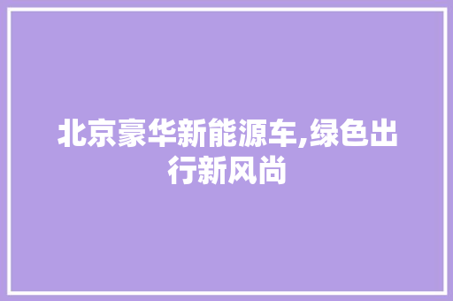 北京豪华新能源车,绿色出行新风尚