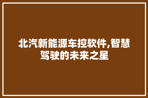 北汽新能源车控软件,智慧驾驶的未来之星