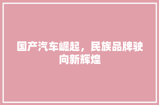 国产汽车崛起，民族品牌驶向新辉煌