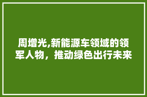 周增光,新能源车领域的领军人物，推动绿色出行未来
