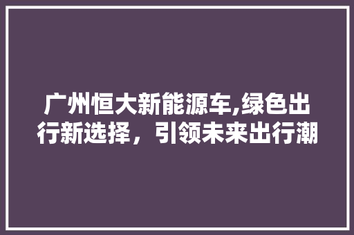 广州恒大新能源车,绿色出行新选择，引领未来出行潮流