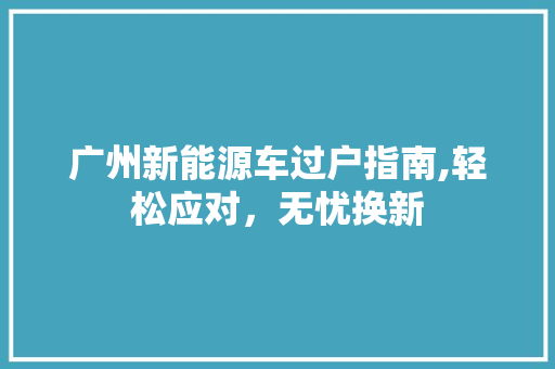 广州新能源车过户指南,轻松应对，无忧换新