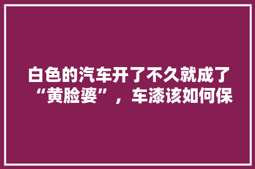 白色的汽车开了不久就成了“黄脸婆”，车漆该如何保养，白色汽车多久保养一次比较好。  第1张 白色的汽车开了不久就成了“黄脸婆”，车漆该如何保养，白色汽车多久保养一次比较好。 摩托车